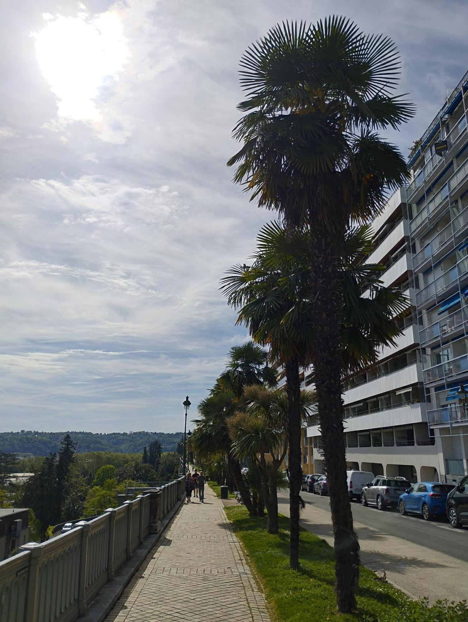 Chambrette Boulevard Des Pyrenees Hypercentre 10M Carre Wc Sur Le Palier, Porte40 Pau Buitenkant foto